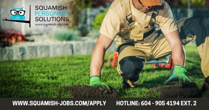 Landscape supervisor